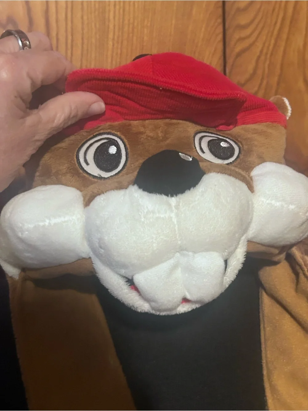Buc-ee’s Beaver Plush Hat with Scarf and Mittens 3-1
